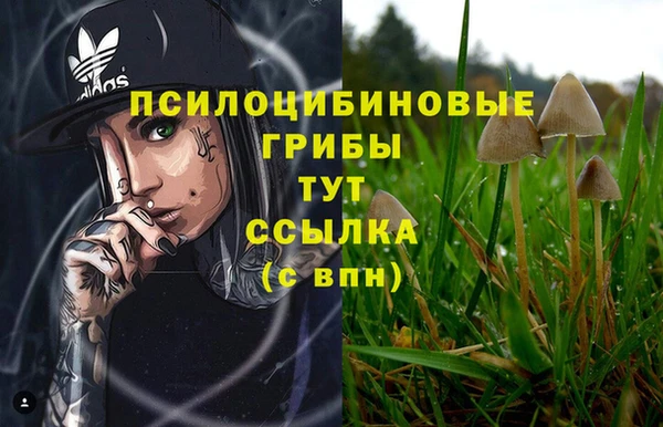 гидра Беломорск