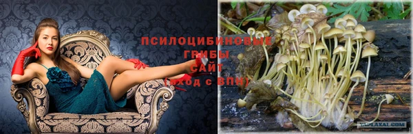 ALPHA PVP Покров