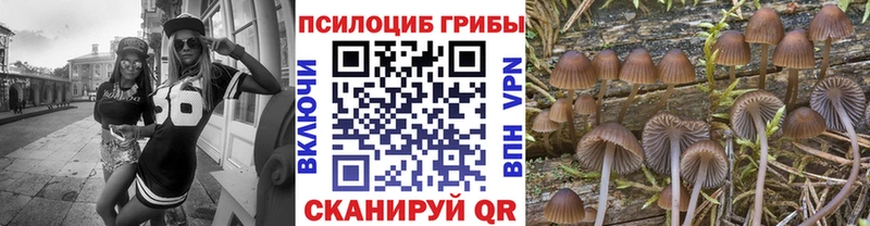 Галлюциногенные грибы мухоморы  купить наркоту  ссылка на мегу   Ильский 